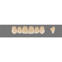Vita Vitapan 3D, Upper Anterior, Shade 1M2, Mould Z51