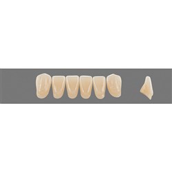 Vita Vitapan 3D, Lower Anterior, Shade 2L15, Mould L12