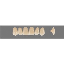 Vita Vitapan 3D, Upper, Anterior, Shade 2L15, Mould X13