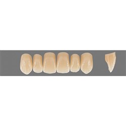 Vita Physiodens 3D, Upper Anterior, Shade 2L25, Mould X3L