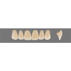 Vita Vitapan 3D, Upper, Anterior, Shade 3L25, Mould O25