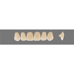 Vita Vitapan 3D, Upper Anterior, Shade 3L25, Mould Z61