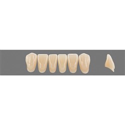 Vita Vitapan 3D, Lower Anterior, Shade 3M1, Mould L14