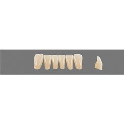Vita Vitapan 3D, Lower, Anterior, Shade 3M3, Mould L4