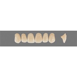 Vita Vitapan 3D, Upper Anterior, Shade 3R15, Mould O43