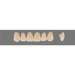 Vita Vitapan 3D, Upper Anterior, Shade 4L25, Mould T53