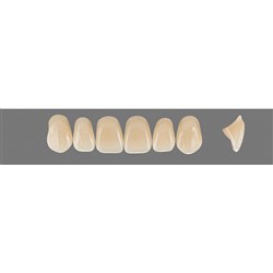 Vita Vitapan 3D, Upper Anterior, Shade 4L25, Mould X77