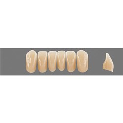 Vita Physiodens 3D, Lower Anterior, Shade 4M1, Mould L6L