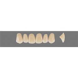 Vita Vitapan 3D, Upper Anterior, Shade 4M3, Mould O13