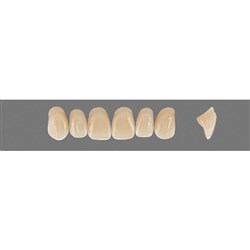 Vita Vitapan 3D, Upper Anterior, Shade 4M3, Mould O34