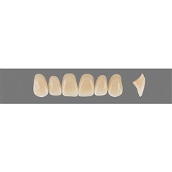 Vita Vitapan 3D, Upper Anterior, Shade 4M3, Mould O35