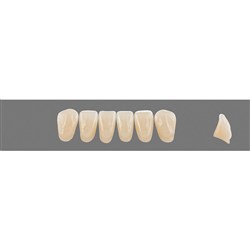 Vita Vitapan 3D, Lower Anterior, Shade 4R15, Mould L10