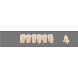 Vita Vitapan 3D, Lower, Anterior, Shade 4R15, Mould L9