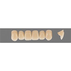 Vita Physiodens 3D, Upper, Anterior, Shade 4R15, Mould  Z2S