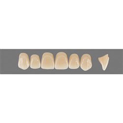 Vita Vitapan 3D, Upper, Anterior, Shade 4R25, Mould X96