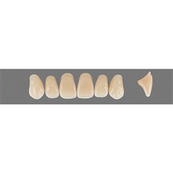 Vita Vitapan 3D, Upper, Anterior, Shade 5M3, Mould T76