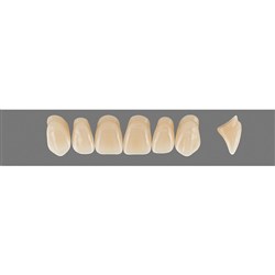 Vita Vitapan 3D, Upper, Anterior, Shade 5M3, Mould T77