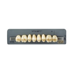 Vita MFT Upper, Posterior, Shade 0M3, Mould PU33