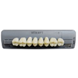 Vita MFT Lower, Anterior, Shade 1M1 B1, Mould L34