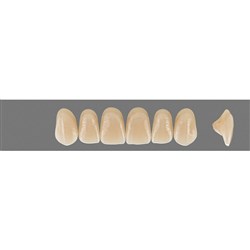 Vita MFT Upper, Anterior, Classical Shade A3, Mould R47