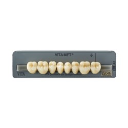 Vita MFT Lower, Posterior, Shade C1, Mould PL31