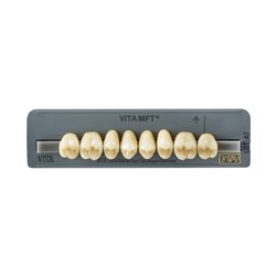 Vita MFT Upper Posterior, Shade C1, Mould PU31