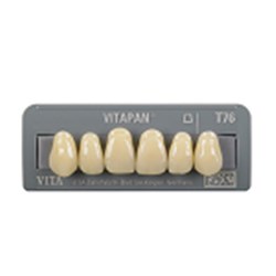 Vita Vitapan Classical Upper, Anterior, Shade D4, Mould 098