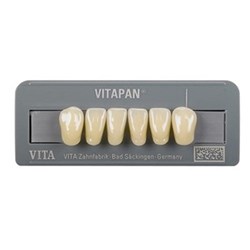 Vita Vitapan Classical Lower, Anterior, Shade D4, Mould L12