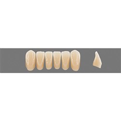 Vita Physiodens Classic, Lower, Anterior, Shade B2, Mould  L5M