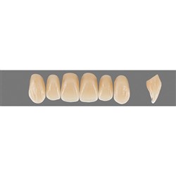 VITA Physiodens Classic, Upper Anterior, Shade B2, Mould T6L