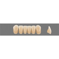 VITA Physiodens Classic, Lower Anterior, Shade B4, Mould L7L