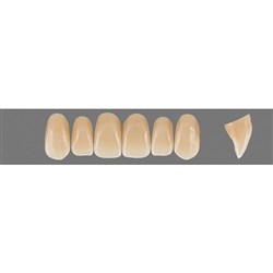 VITA Physiodens Classic, Upper Anterior, Shade C3, Mould X2L