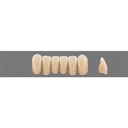 VITA Physiodens Classic, Lower Anterior, Shade C4, Mould L4M