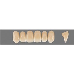 VITA Physiodens Classic, Upper Anterior, Shade D2, Mould T5M