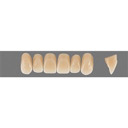 VITA Physiodens Classic, Upper Anterior, Shade D2, Mould X1M
