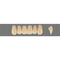 VITA Physiodens Classic, Upper Anterior, Shade D3, Mould O1S