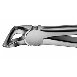 Aesculap Forceps #31 - Lower Bicuspids and Roots - DG751R