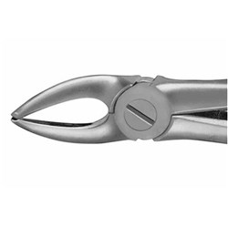 Aesculap Forceps #136 - Upper Bicuspids - DH736R