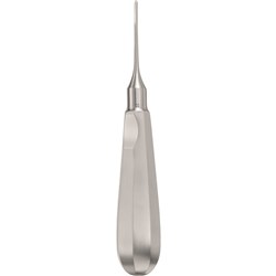 Aesculap ExtraLux Elevator - 2mm - Straight - DL312R