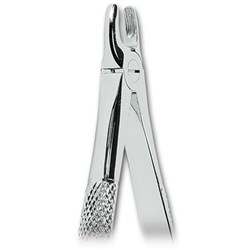 ASA Dental Forceps - #107 - Upper Canines