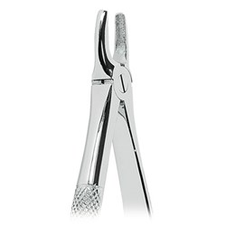 ASA Dental Forceps - #2 - Upper Incisors and Canines