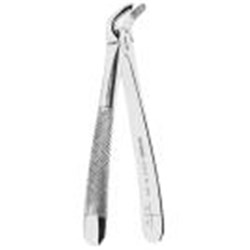ASA Dental Forceps - #8 - Lower Molars