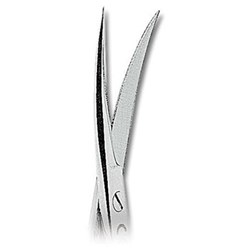 ASA Dental Gum Scissors - Iris - #2 - Curved - 11.5cm