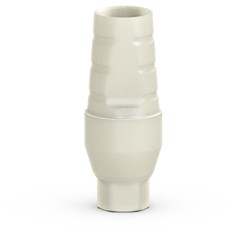 3.0mm Plastic Temporary Abutment