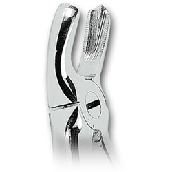 ASA Upper Left and Upper Right Molar Forceps