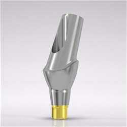 CNLGEsthomic abutment 20d angled Type B D 3.8