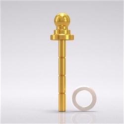 Lab analog Ø 3.3 ball abutment