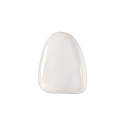 COMPONEER Refill XL Upper 12 pk 2 Enamel Universal