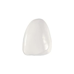 Coltene Componeer - Prefabricated Composite Shells - XL - Upper - 22 - Enamel Universal, 2-Pack