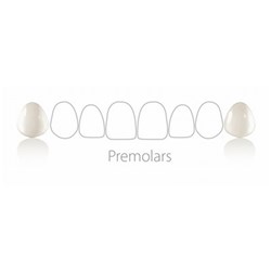 Coltene Componeer - Prefabricated Composite Shells - L Set - Upper Premolar - 14/24 - White Opal Enamel, 2-Pack